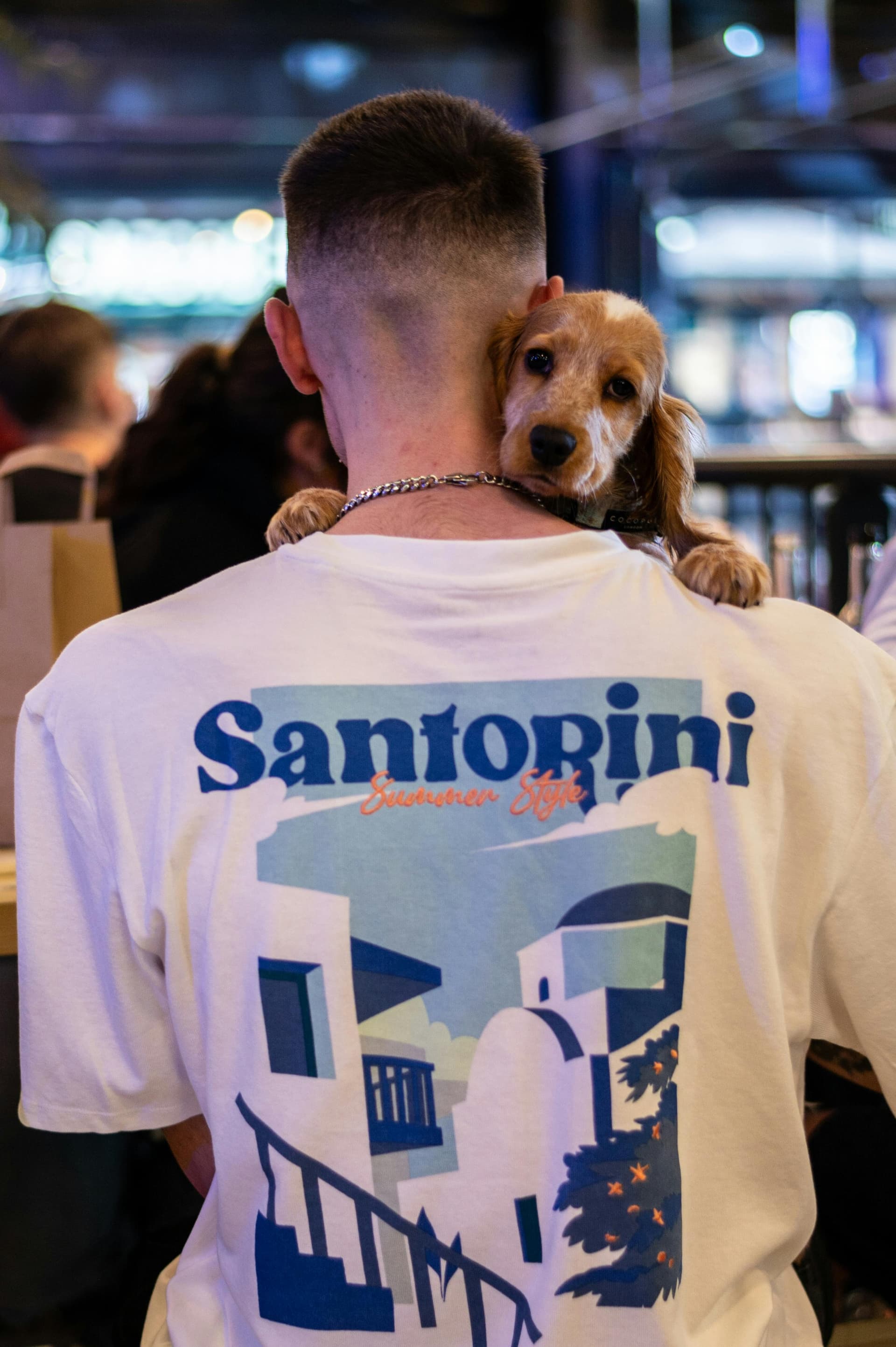 James & Charlie testimonial