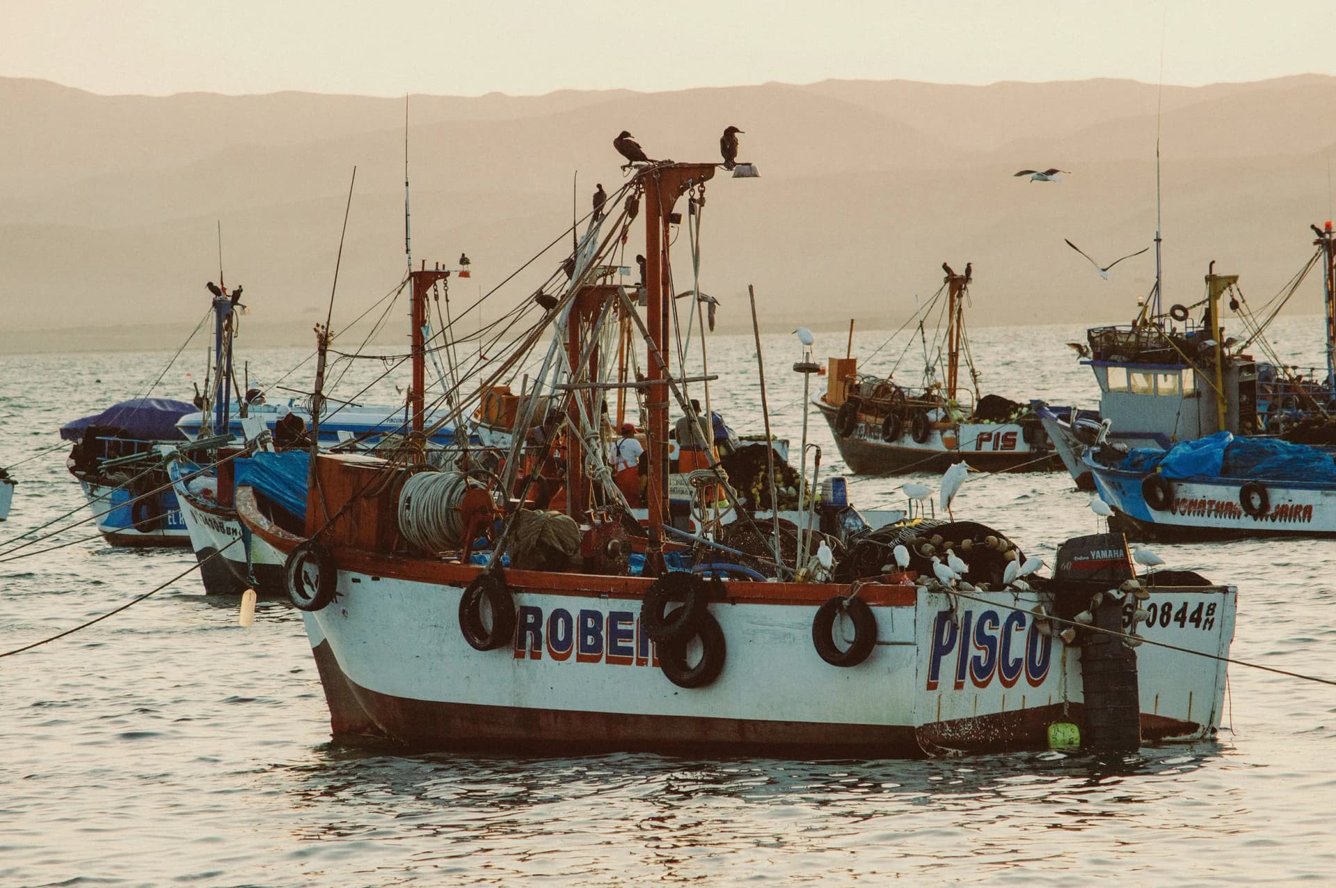 Fishing boats harbor at LIMA Shoreditch, London
