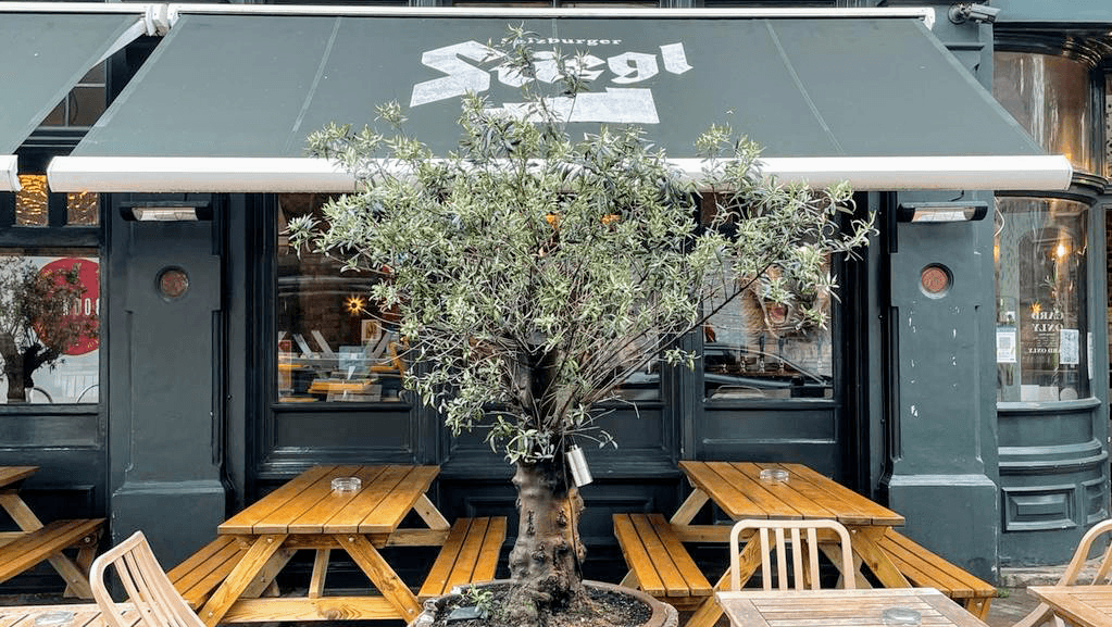 Outdoor seating with olive tree at Crown & Anchor, London
