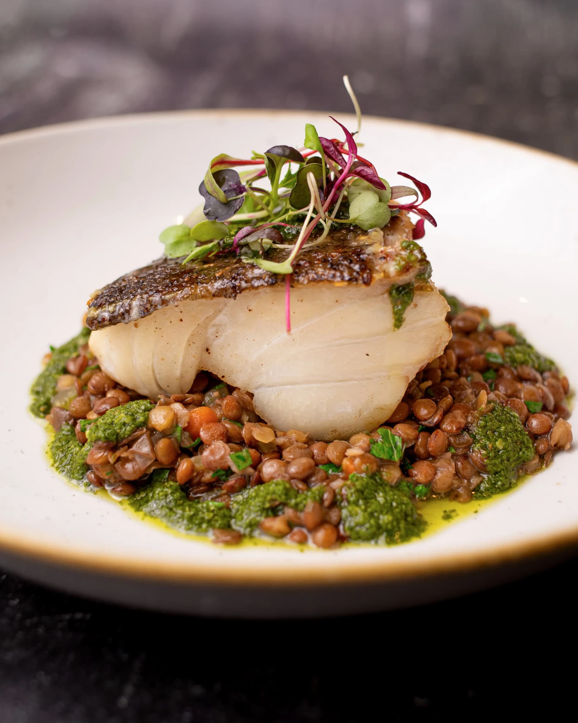 Pan-seared fish with lentils at Greenberry Café, London