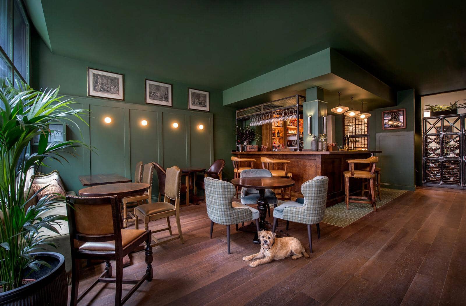 Dog-friendly bar area at The Apollo Arms Public House, London