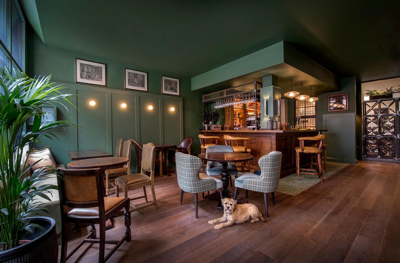 Dog-friendly bar area at The Apollo Arms Public House, London