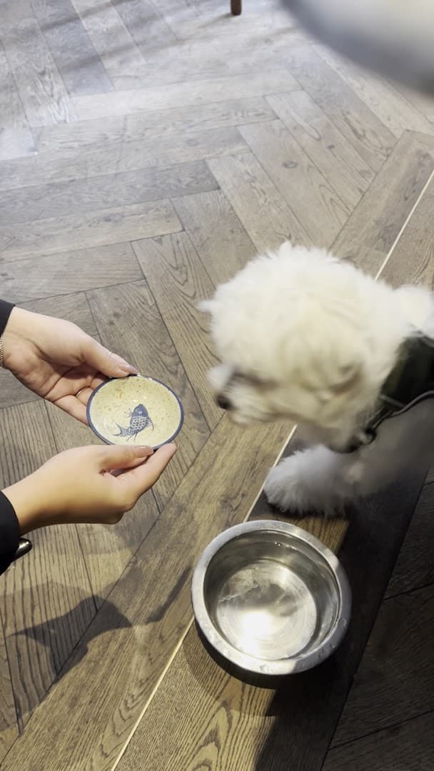 Photo of The Cavendish Pub, Marylebone