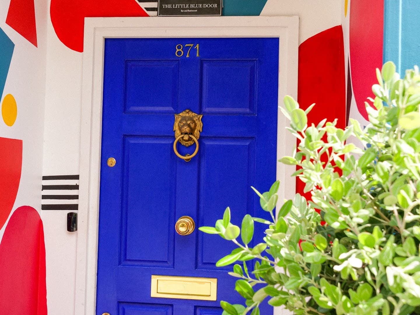 Photo of The Little Blue Door