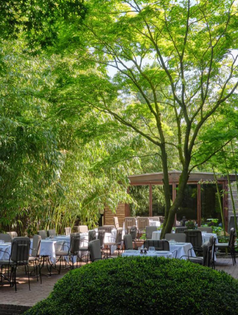 Outdoor terrace dining area at Pollini at Ladbroke Hall, London