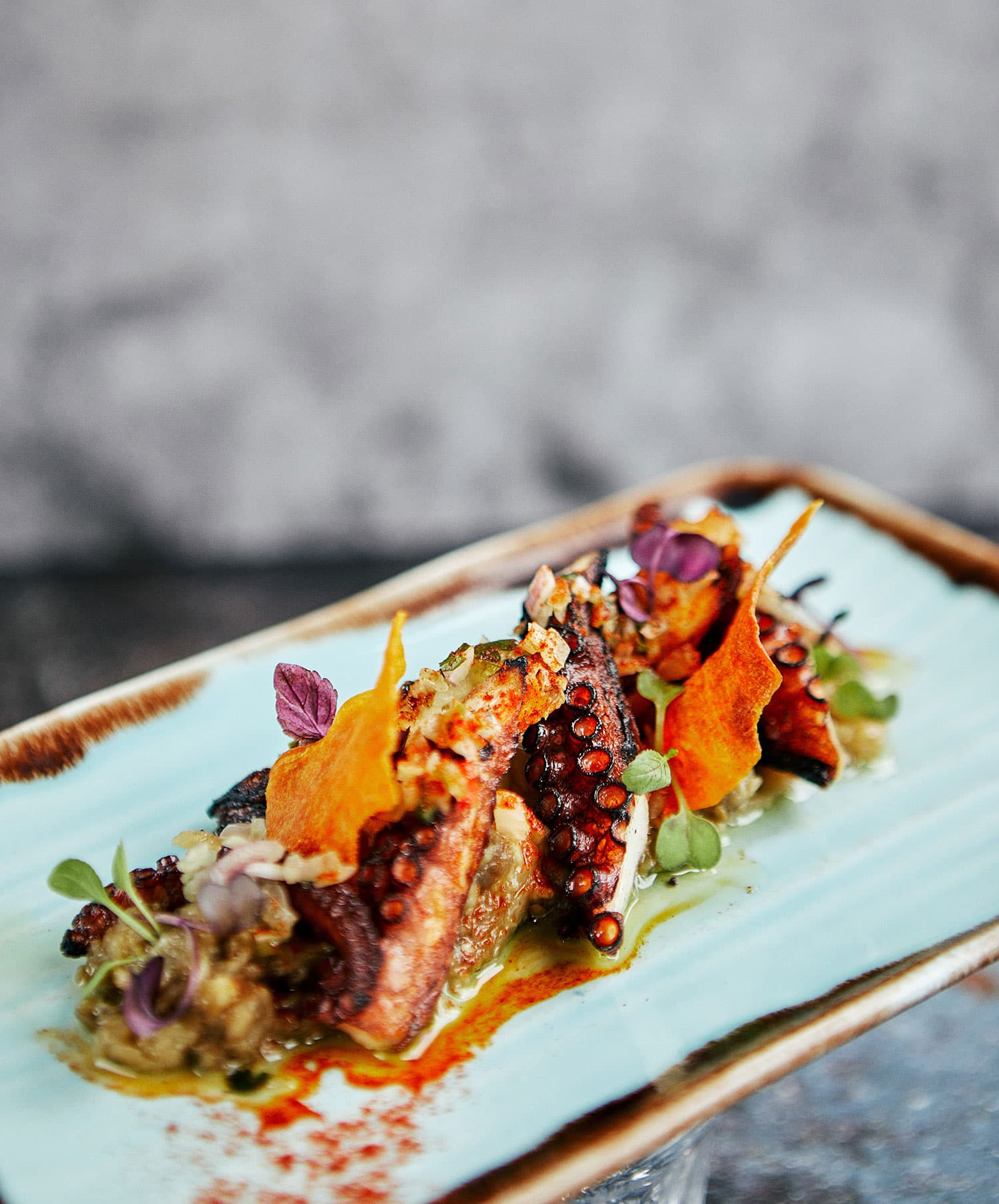 Grilled octopus dish at El Ganso Cafe, London