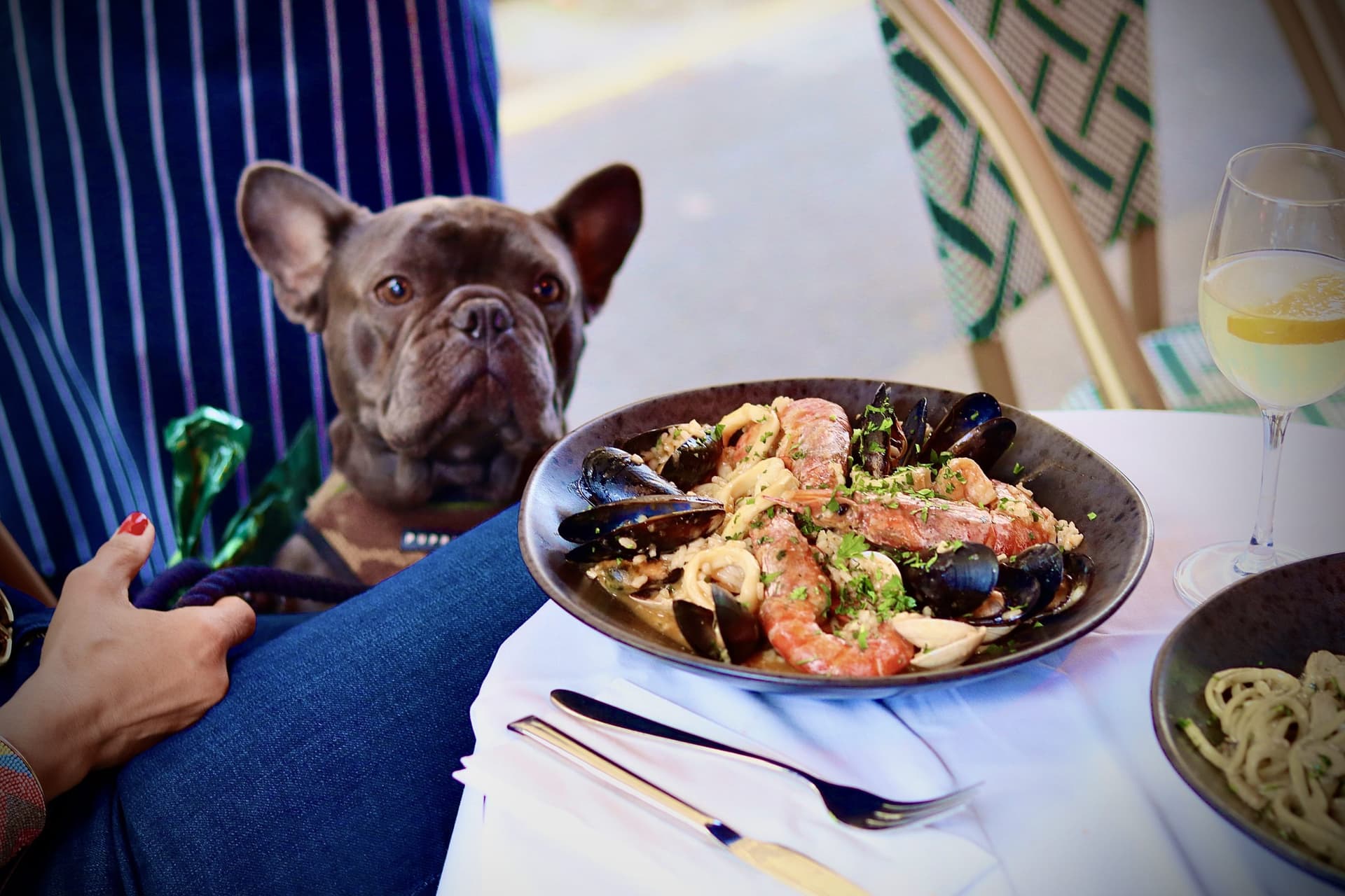 Dog-friendly dining experience with seafood pasta at La Cucina Di Daffy 2 Italian Restaurant, London