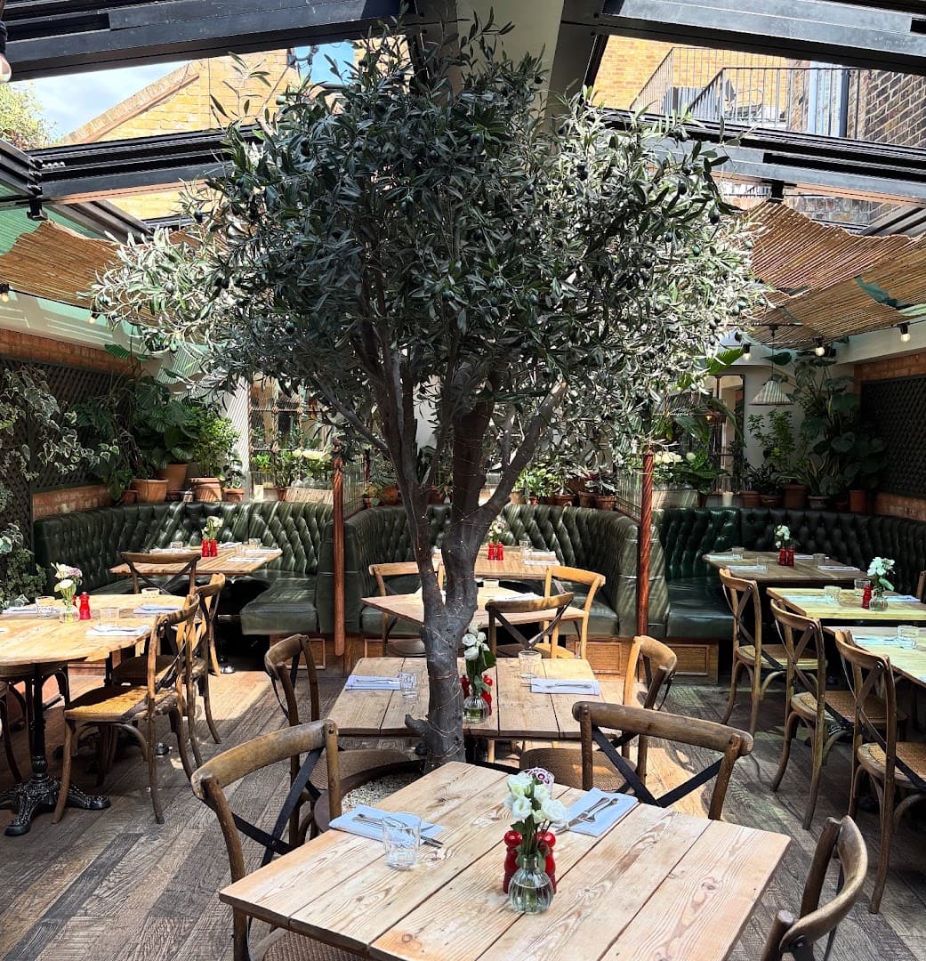 Conservatory dining room with olive tree at The Fox and Pheasant, London