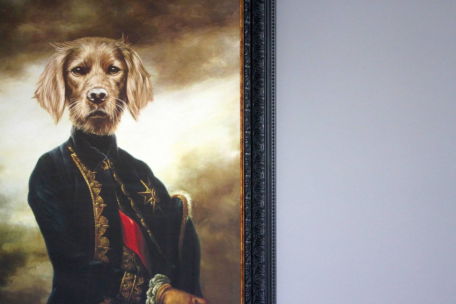 The Hayden Pub & Rooms exterior